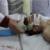 12-year-old killed by Israeli air raid