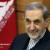 Velayati says Afghan noblemen want old constitution in place