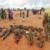 7 al-Shabaab terrorists killed in Somalia