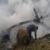 4 servicemen killed, injured in Syrian Army helicopter crash