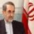 US expanding NATO to east at Europe's expense: Velayati