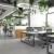 Incorporating plants into office interior design