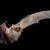 دانشمندان هندی نوع دیگری از ویروس کرونا را در خفاش‌ها یافتند