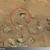 عکس| ادعای کشف استخوان انسان در مریخ