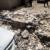 زلزله زدگان مسجد سلیمان پس از ۲ سال همچنان بی خانمان