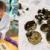 Ancient Norwegian gold jewellery found by man who bought metal detector to ‘get off the couch’