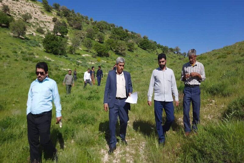 بارندگی به کمک احیای جنگل ها و مراتع کهگیلویه و بویراحمد آمد