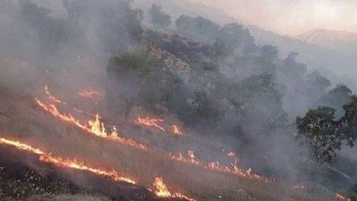 آتش‌سوزی جنگل‌ها در ایران؛ وضعیت منطقه حفاظت‌شده خائیز در کهگیلویه 'فوق‌العاده بحرانی' است