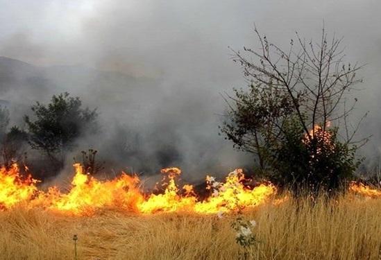 دلیل آتش‌سوزی در پارک چیتگر تهران مشخص شد