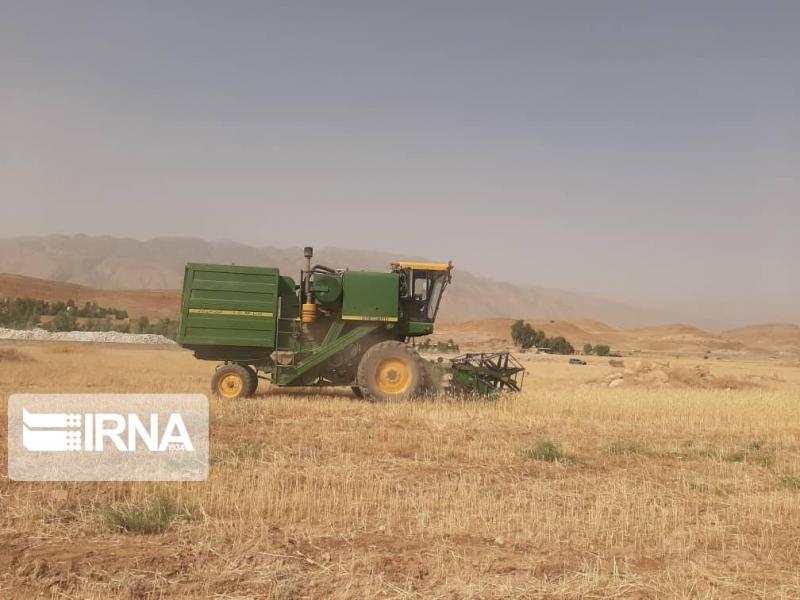 برداشت گندم از مزارع شهرستان تهران آغاز شد