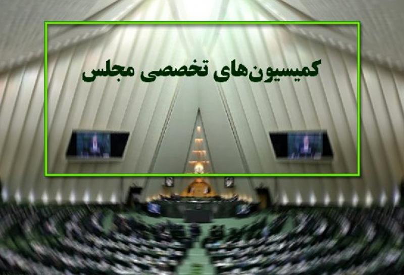 آئین‌نامه داخلی؛ علت چینش بد کمیسیون‌های مجلس / چند نفر از اعضا با کمیسیون مربوطه مرتبط اند؟