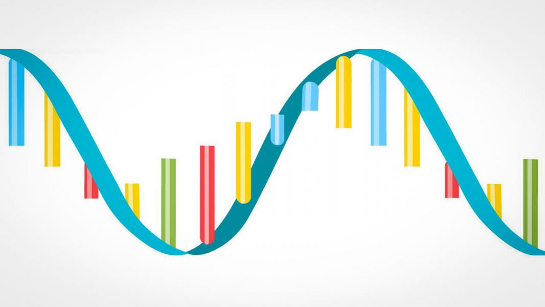 ۶۰ میلیون دلار حمایت مالی برای توسعه دارو‌های mRNA جمع‌آوری شد