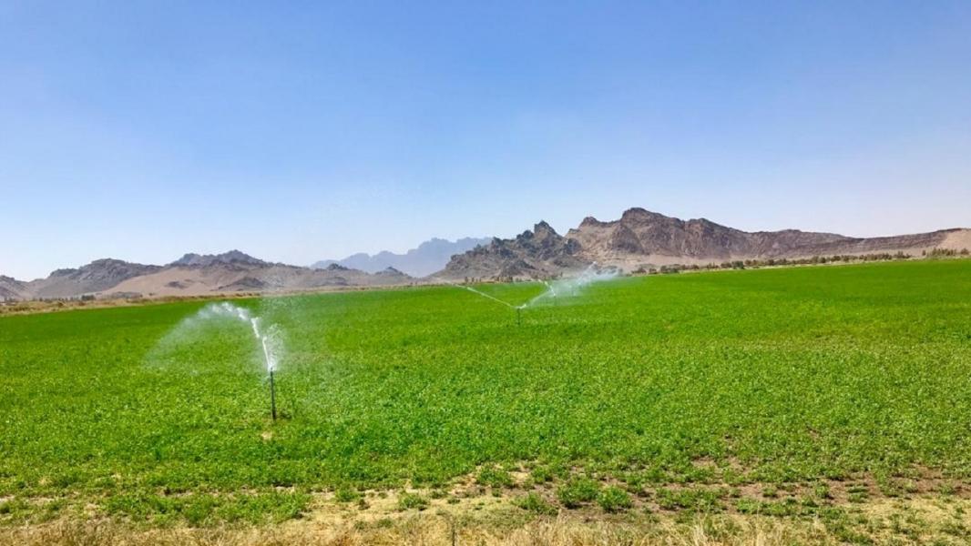 حدود سه‌هزار هکتار از اراضی سیستان‌وبلوچستان به آبیاری نوین مجهزشد