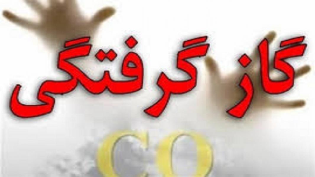 مرگ ۲ نفر در اثر گاز گرفتگی/ در زرین آباد رخ داد