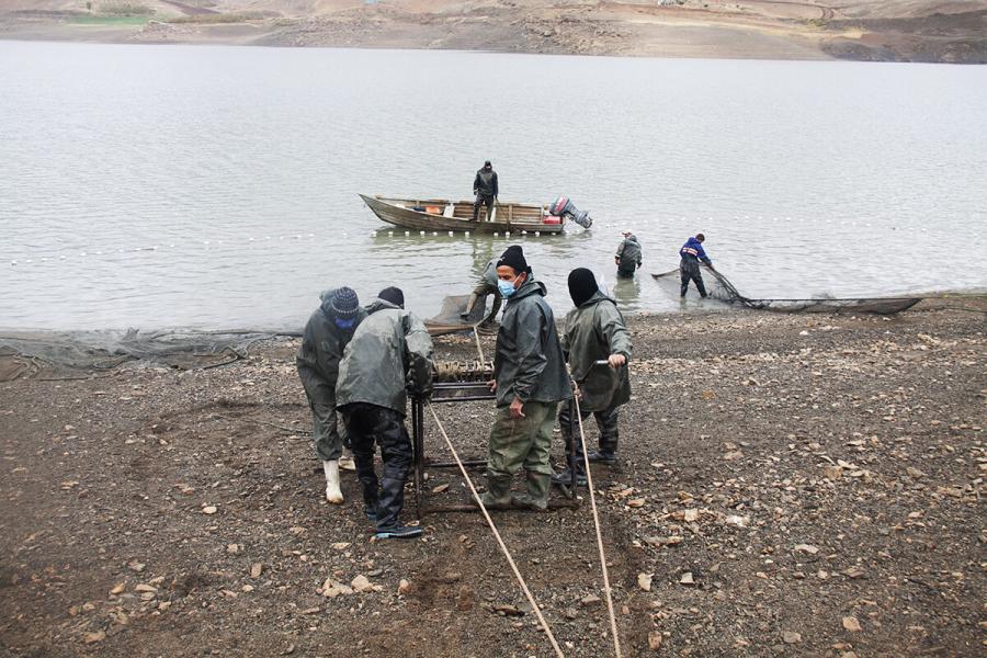 کشمکش ۲ دستگاه بر سر صید ماهیان بزرگترین سد خراسان شمالی