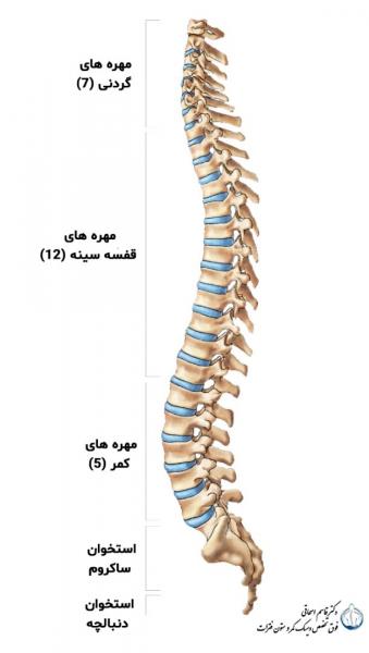 دیسک کمر و راه های درمان دیسک کمر