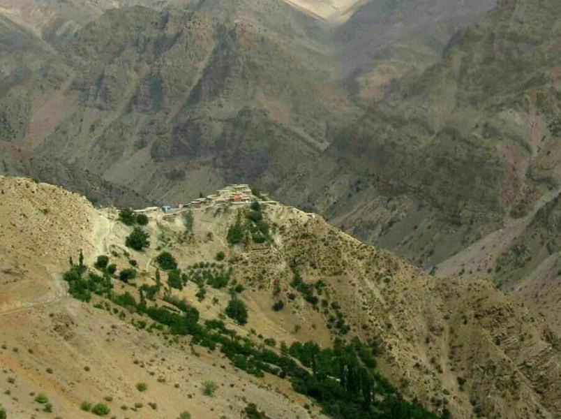 احداث جاده به قیمت نابودی ۴ هزار گونه بلوط در اصفهان