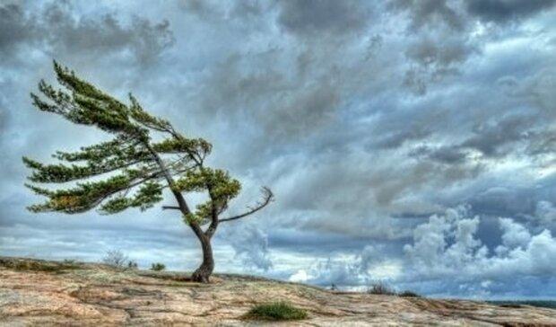 سرعت وزش باد در شهرضا به ۹۰ کیلومتر بر ساعت رسید