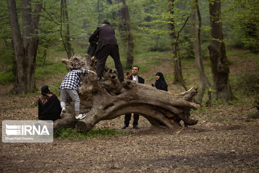 ۳۶ تیم گشتی تفرجگاه های طبیعی ایلام را کنترل می کنند