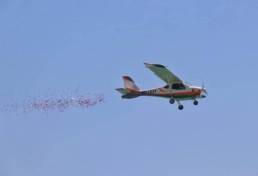 شهر قشم گلباران شد