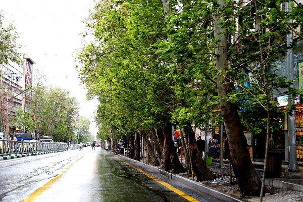 بخش جنوبی خیابان ولیعصر آماده ثبت جهانی شد