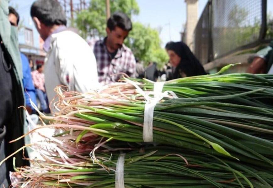 گیاهان بهاری زینت سفره‌های رنگین آذربایجان‌غربی