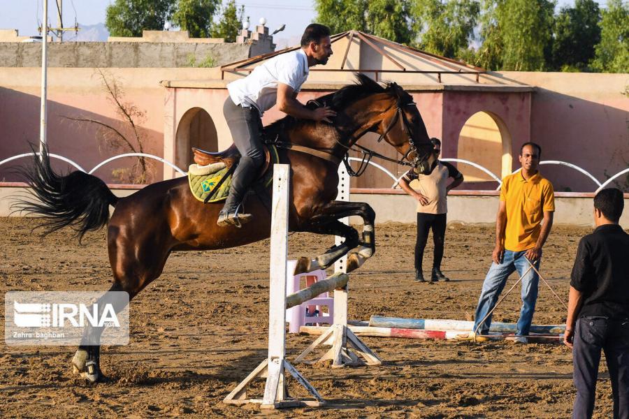 ساماندهی باشگاه‌های سوارکاری در اولویت هیات های ورزشی باشد