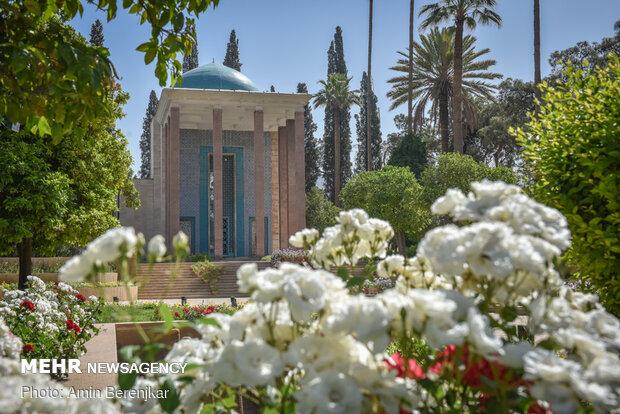 اعتقاد شیخ اجل به صبر بر مشکلات/ آدمی را صبر باید