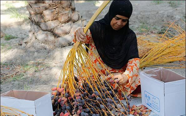 شناسایی زنان سرپرست خانوار سکونتگاه‌های غیر رسمی ۱۵ استان /تلاش برای اشتغالزایی این زنان