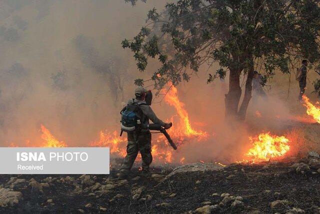 زخم حریق‌های گاه و بیگاه بر پیکره جنگل‌ها