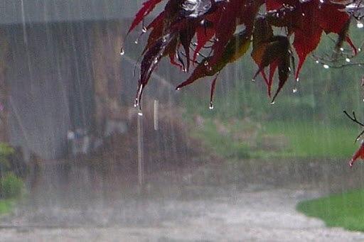 پیش‌بینی بارش‌های پراکنده در ۸ استان