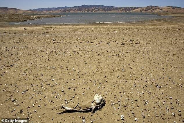 بدتر از کرونا در راه است؛ احتمال مرگ میلیون‌ها نفر بر اثر گرسنگی، خشکسالی و گرما