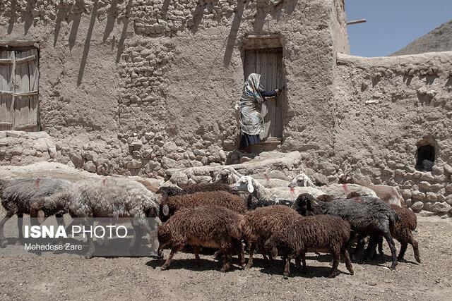 زخم‌کاری خشکسالی بر جان کلاته عرب‌ها