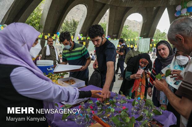 «گزارش یک جشن» در تپه نورالشهدای کلکچال