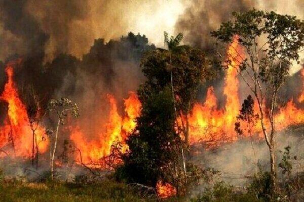 اطفاء آتش‌سوزی در مناطق طبیعی کلیبر با هواپیمای ایلوشین