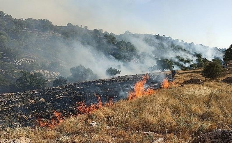 آتش سوزی گسترده در کوهستان دراک شیراز