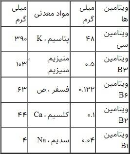 همه چیز درباره خواص و مضرات گیاه "ترشک"