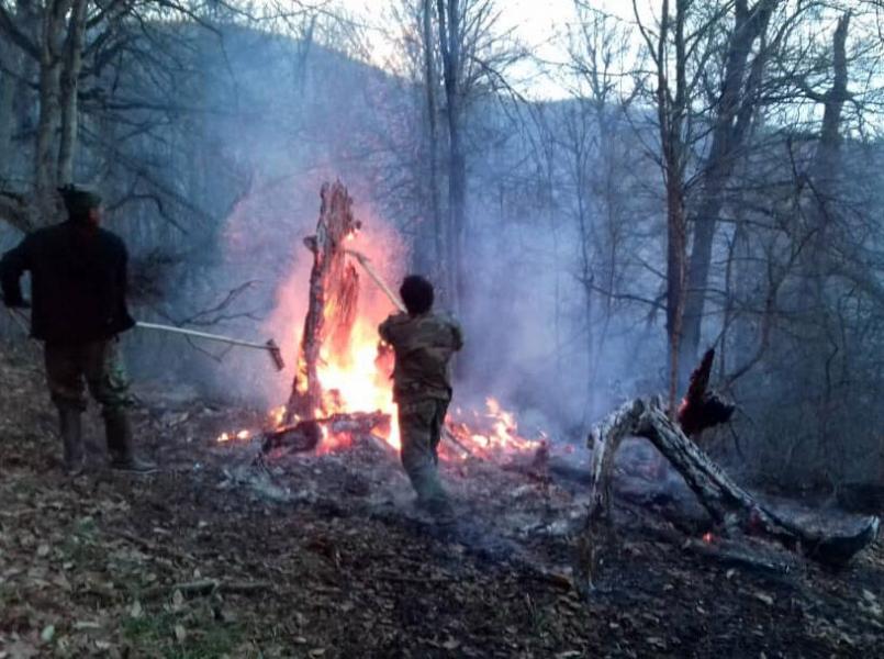 ۲۰۰ هکتار از جنگل پارک ملی گلستان گرفتار حریق شد