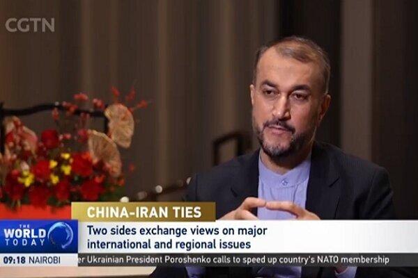 Iran not playing with time in Vienna talks: FM