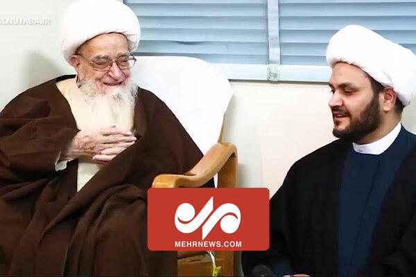 آرزوی آیت‌الله العظمی صافی گلپایگانی/ مشارکت در نبرد با تکفیری‌ها