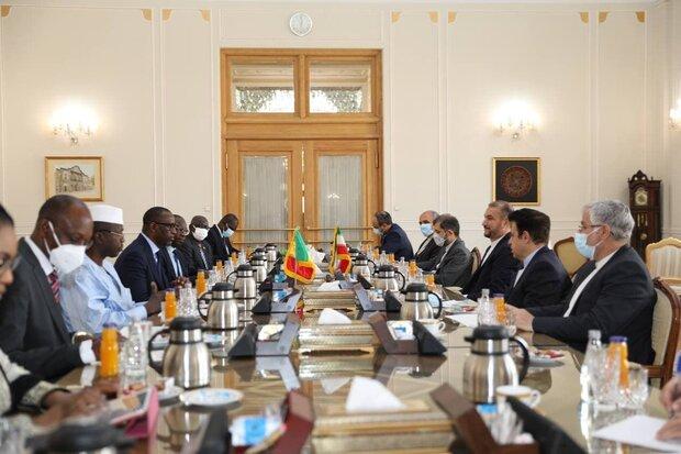 Iran, Mali FMs stress boosting bilateral cooperation