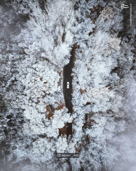 نمای هوایی برف در پارک‌ جنگلی مشگین‌ شهر