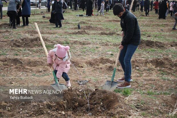 جشن درخت دوستی در یزد برگزار شد