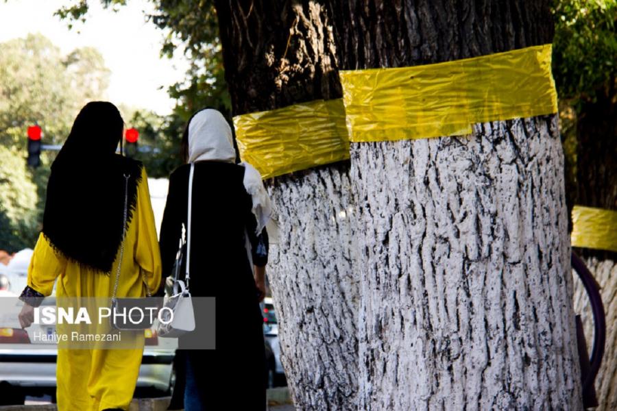 احیای دوباره «سازمان ملی جوانان»، مطالبه اصلی جوانان