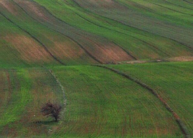 تامین ۶۰ میلیون متر مکعب آب شرب قزوین با انتقال آب از سد طالقان / اجرای پروژه تامین آب مطالبات مردم استان