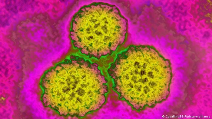 واقعیت‌هایی که شاید درباره ویروس HPV ندانید