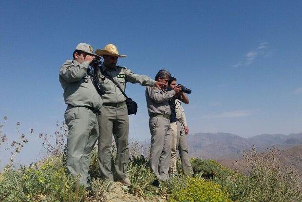 فیلم منتشر شده حمله گرگ به معلم جوان در هشجین برای ۲۷ فروردین است