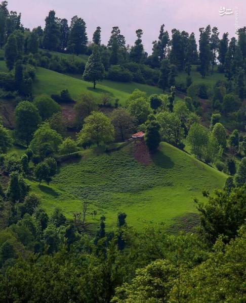 طبیعت تماشایی استخرگاه