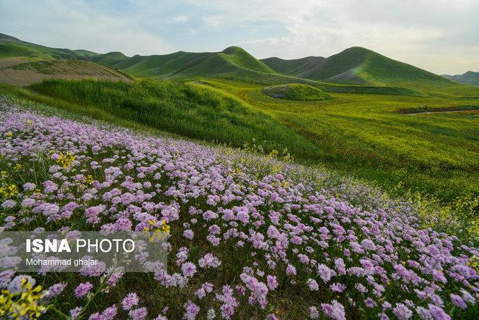 بهار رؤیایی در مسیر «خالد نبی»