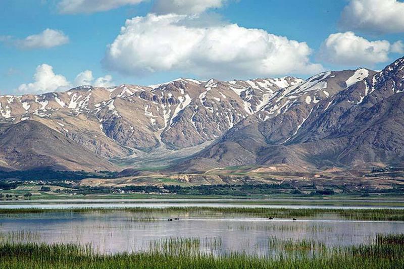 تالاب‌های چهارمحال و بختیاری زیستگاه پرندگان مهاجر / شناسایی ۲۹۶ گونه پرنده در استان